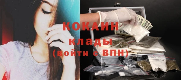 сатива Абинск