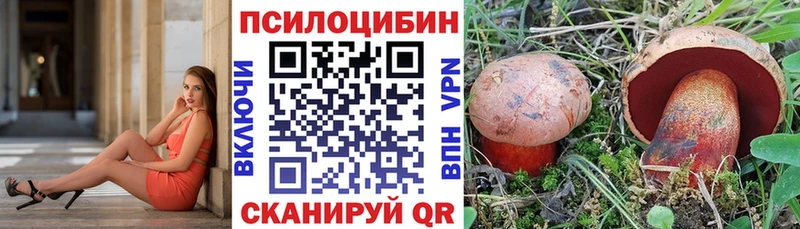 дарнет шоп  Кимовск  Галлюциногенные грибы мицелий 