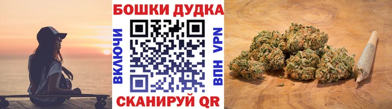 Бошки Шишки конопля  Кимовск 